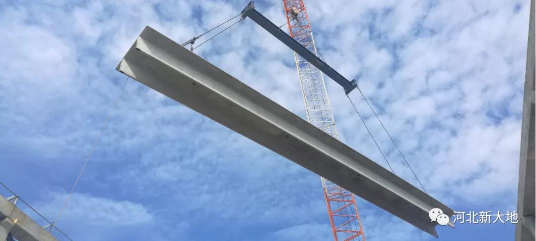 拉斯维加斯9888(中国)最新官方网站