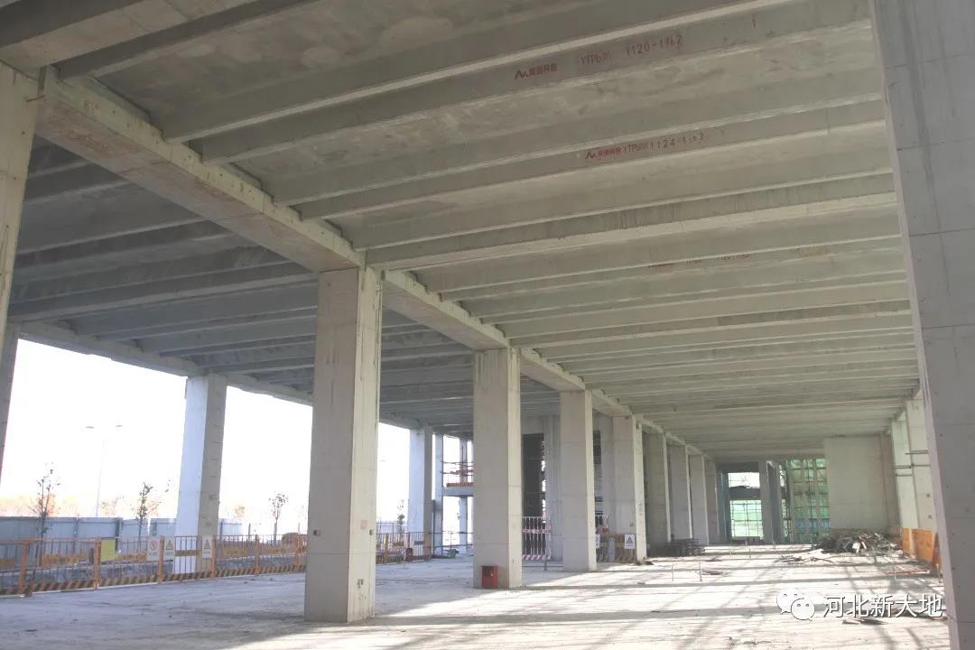 拉斯维加斯9888(中国)最新官方网站