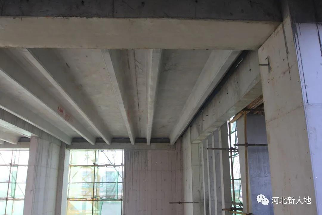 拉斯维加斯9888(中国)最新官方网站