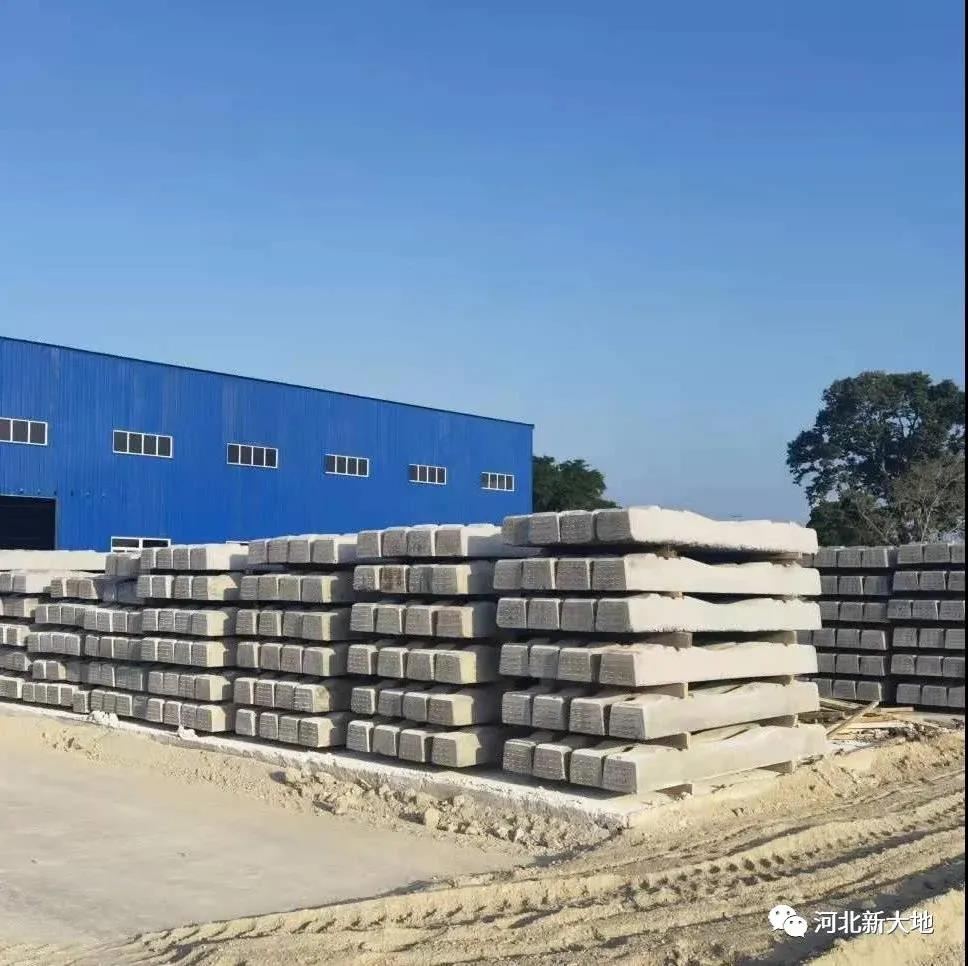 拉斯维加斯9888(中国)最新官方网站